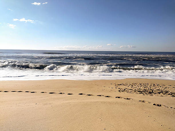 Serene coastal view of footprints on a sundrenched beach with crashing ocean waves under a vast blue sky. Ideal for travel, relaxation, and naturethemed marketing and design projects.
