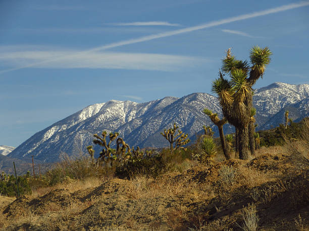 Sunset over ridge in Mojave Desert with dramatic sky.