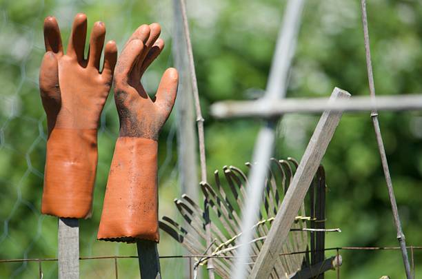 A close up shot of reddish brown gardening gloves propped on the ends of a fence post.  A rake and a bit of a tomato cage are seen in the background.  Greenery fills the background.  There's humour in the shot as it looks like the gloves are hands waving