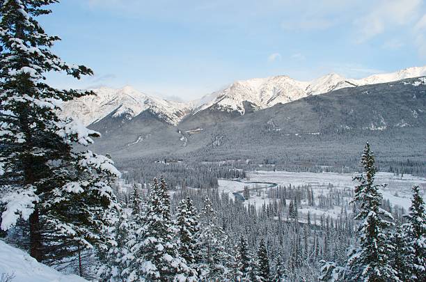 In Kananaskis, Alberta,  a snow covered mountain is seen in the background, with rows of trees lining a valley below.  The sky is blue and the sun shines on the mountain tops.  The landscape is tranquil.