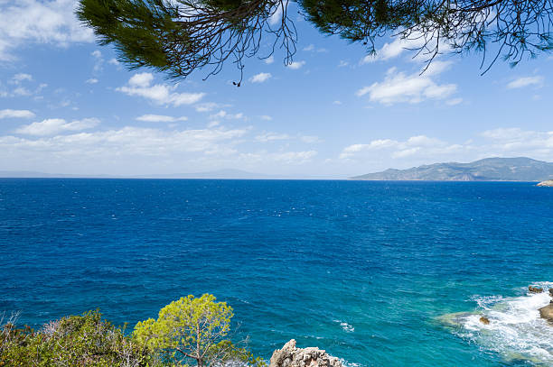 Vivid blue Mediterranean water stretches toward hazy hills on the horizon, with windswept pine branches framing the scene above and rocky coastal vegetation in the foreground. Bright sunlight and scattered clouds create a fresh, tranquil atmosphere.