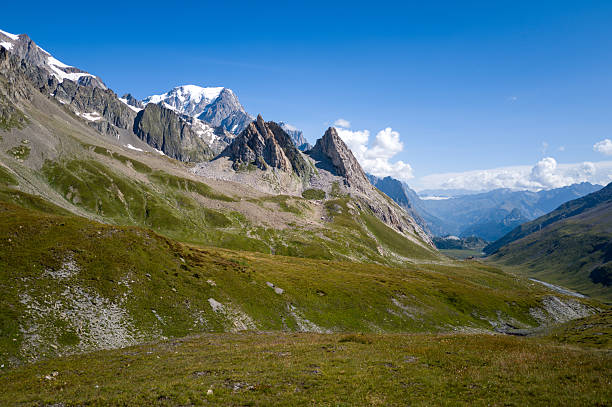 Sweeping green slopes lead up to jagged rocky formations at Col de la Seigne, with the snowy summit of Mont Blanc rising in the background beneath a vivid blue sky. The landscape is sunlit and open, evoking a sense of vastness and natural beauty.