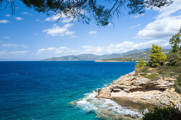Windswept pine trees frame a rugged rocky coastline above deep blue water, with distant hills under a bright sky. Sunlight highlights the textures of the limestone cliffs and lush greenery.