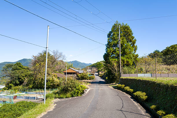 A sunny asphalt road winds gently between green hedges, fields, and traditional rural houses under a bright blue sky in a peaceful Japanese village along the Kumano Kodo trail.