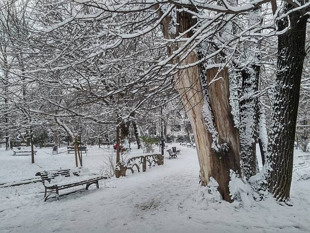 a street in Hamedan Iran in winter