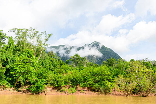 Low clouds float above dense green forest and a muddy riverbank along the Nam Ou River near Muang Ngoi in northern Laos. The scene features vibrant foliage, eroded earth, and a textured mountain backdrop under bright daylight.