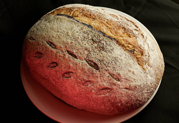 Male baker holding a fresh loaf of homemade sourdough bread.