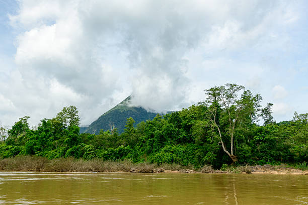 Thick clouds gather at the summit of a forested mountain above the muddy Nam Ou River in northern Laos. Dense green trees and wild vegetation line the riverbank, creating a vibrant natural scene beneath a bright sky.
