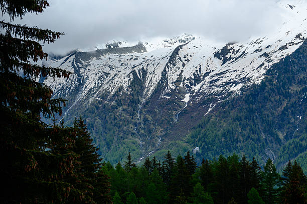 Snow-capped mountain slopes rise above a dense evergreen forest, with low clouds partially obscuring the rugged peaks in the Mont Blanc massif.
