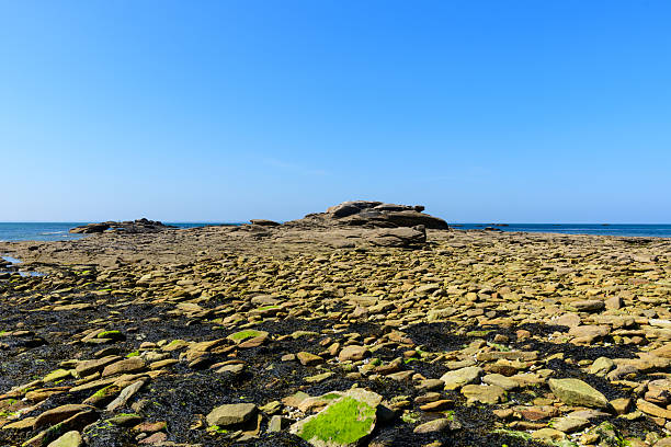 Expansive rocky tidal flats stretch toward the ocean at Plage de la Jument in Quiberon, with scattered seaweed, weathered stones, and clear blue sky creating a rugged coastal atmosphere.