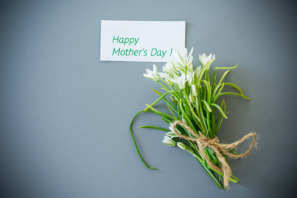Minimalist snowdrop arrangement on a gray background.