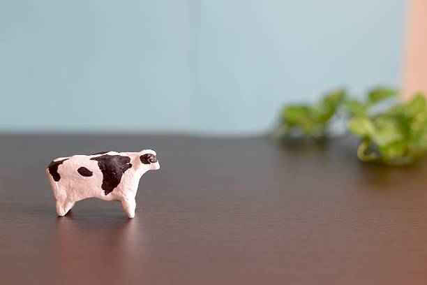 small cow accessories in the evening