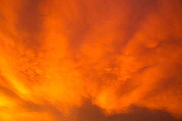 Dramatic view of orange mammatus clouds during sunset, showcasing intense colors and unique pouch-like atmospheric formations.
