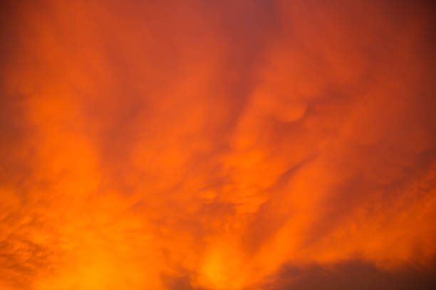 Dramatic view of orange mammatus clouds during sunset, showcasing intense colors and unique pouch-like atmospheric formations.