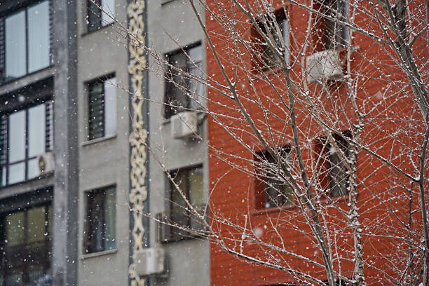 Tree branches on the background of an apartment building during a heavy snowfall.