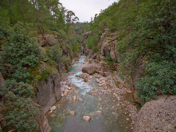 Looking down into a deep rocky canyon with a vibrant turquoise river and green trees.