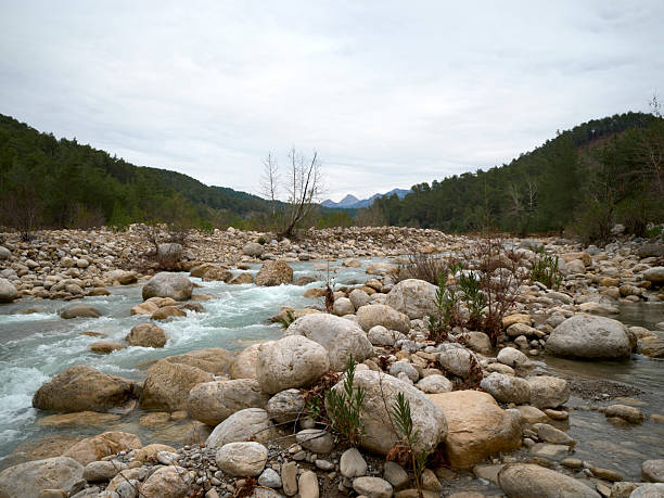Perspective view of a clean river flowing through a forest valley with river stones.