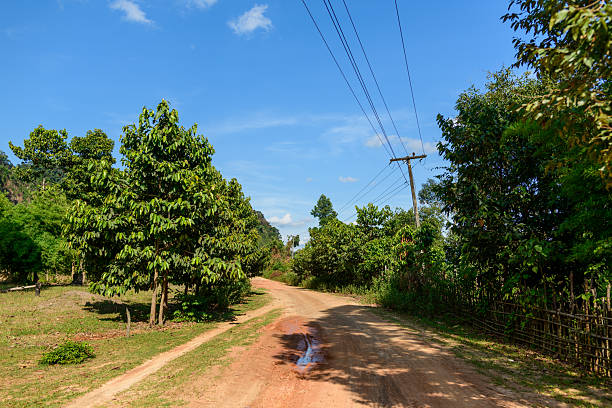 A winding red earth road bordered by lush green trees and wooden fencing runs through the Laotian countryside under a bright blue sky. Overhead power lines and scattered shadows add detail to this tranquil rural landscape.