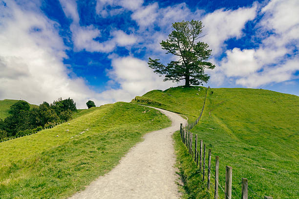 Rural trail climbs grassy rise beneath bright sky landscape nature outdoor