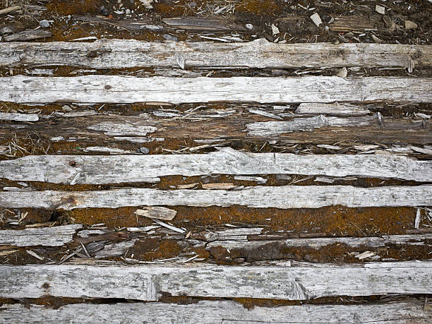 Old wooden obsolete gray green moss plank texture background wall, full frame, front view