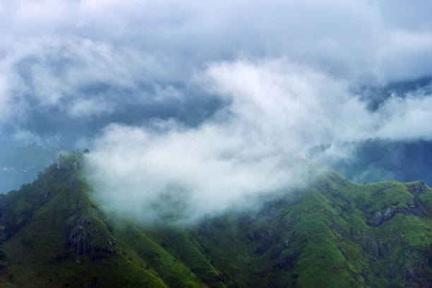 The peaks of the Central plateau of Sri Lanka are constantly covered with clouds. Wet high-altitude meadows are formed here