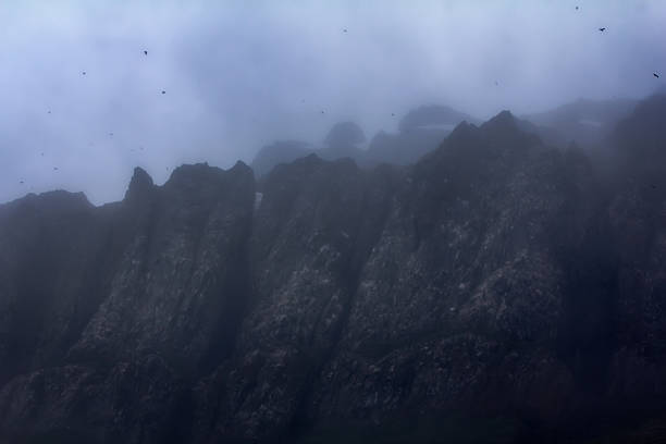 Operatic trip to the harsh Arctic for extreme travelers. Lifeless rocks, glaciers, firn fields and frost smoke (ice fog) in high latitudes in cold summers