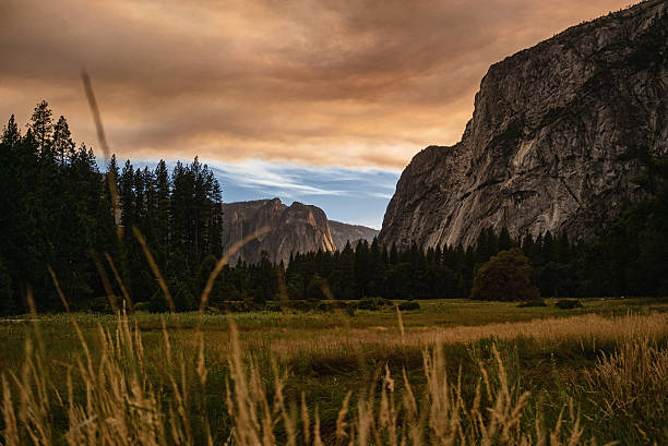 Yosemite Park with El Capitan, green meadow and foresty, trees.