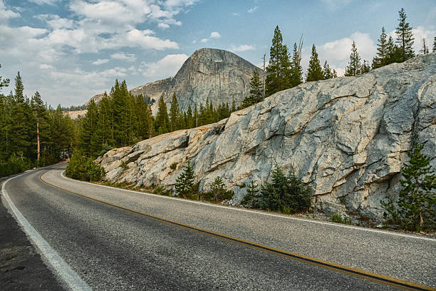 Scenic mountain road winding through pine forest and granite formations along Tioga Pass in Yosemite National Park under a clear summer sky.