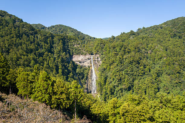 Tall waterfall cascades down a rocky cliff surrounded by thick evergreen forest and rolling mountains under a clear blue sky in Wakayama, Japan. Bright daylight highlights the lush foliage and natural textures.