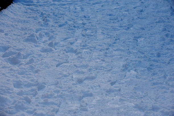 Snow covers the ground and has fresh footprints leading across it. The scene shows a forest trail with trees lining each side. The light is low, suggesting early morning. The footprints vary in size, indicating different people or animals have passed along the path. Some snowflakes are visible, showing that new snowfall has occurred recently. This setting invites reflection and exploration in a natural environment where winter has transformed the landscape into a white wonderland.