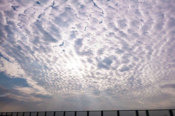 Altocumulus translucidus,The blue sky and white clouds.