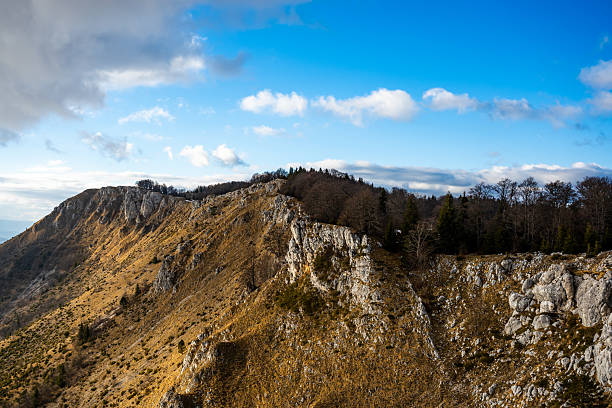 Elevated view of a rocky mountain ridge with forested areas and steep slopes, captured under a bright blue sky with scattered clouds.
