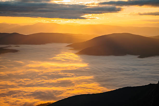 Dense layer of clouds flowing through a mountain valley, surrounded by forested hills and highlighted by warm, low-angle sunlight.