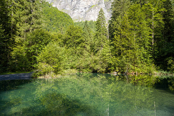 Crystal clear pond mirrors dense green trees and rugged cliffs in bright summer light at Cirque du Fer-a-Cheval. Tranquil water and vibrant foliage create a peaceful natural scene.