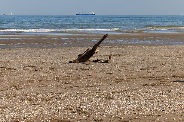 Aftermath from a flood with debris resting on a beach before entering the sea before clean up operation