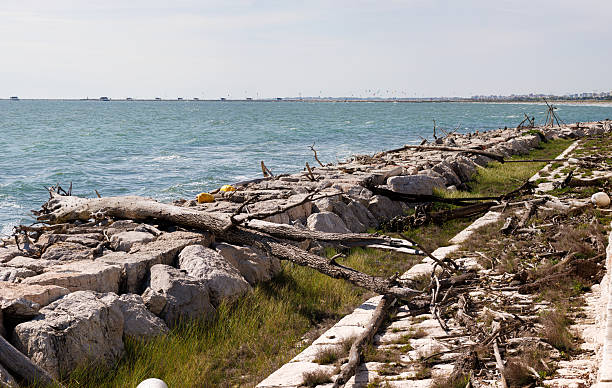 Rotten driftwood, branches, and logs washed ashore by the sea on a breakwater in the Venetian lagoon
