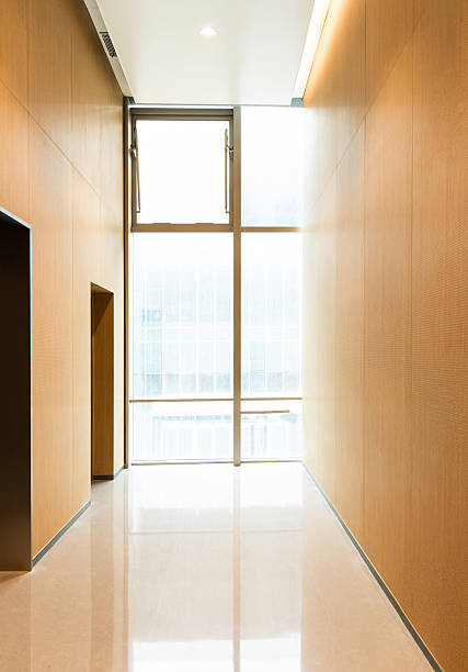 Empty modern office bright corridor with wooden wall