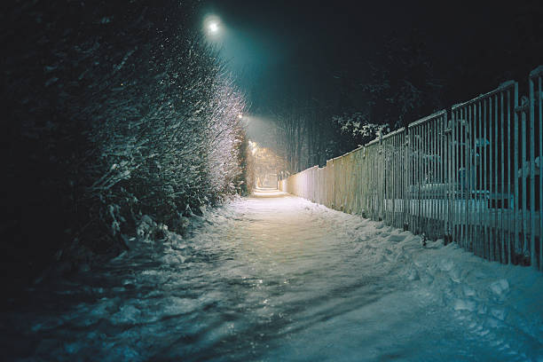 Footpath between bushes and white metal fence, night scene during winter. The city of Cacak in Serbia.