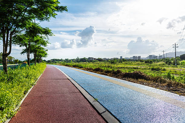Asphalt walkway in the lush green garden