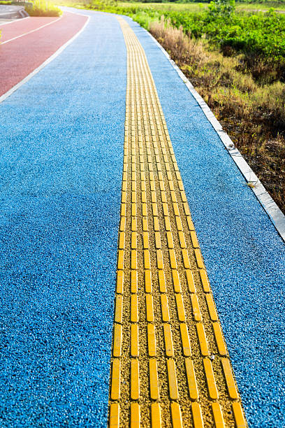 Asphalt walkway in the lush green garden