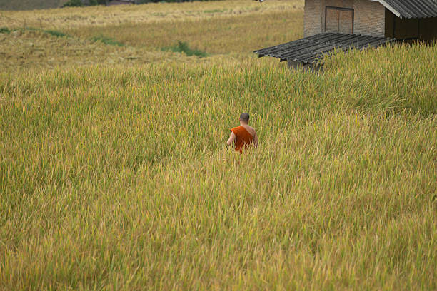 Chuxi Tulou cluster, Yongding County, Fujian Province, China - October 25, 2025 :   A woman sitting on the ground under an umbrella, is taking pictures of another lady using a camera, in the inner courtyard of a Chuxi Tulou.The Tulou are large, multi-story communal houses built for extended families, constructed from rammed earth, bamboo, and wood, with thick walls and a single entrance for defense. These unique dwellings are primarily associated with the Hakka people and are a UNESCO World Heritage site, sometimes, still inhabited by local people.