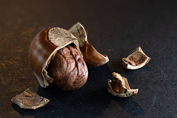 Different nuts and nutcracker close up. View from above.