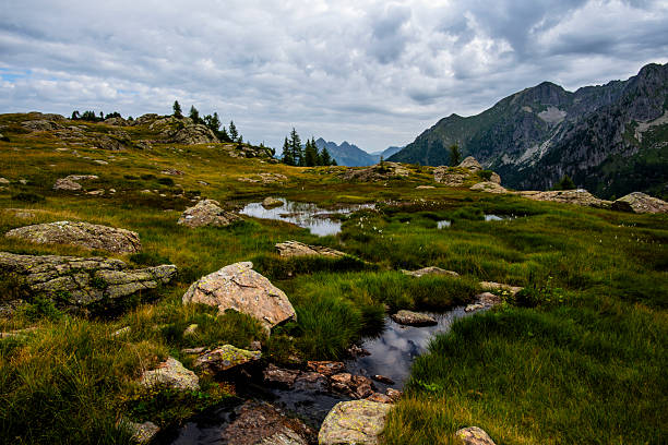 Alpine wetland with rocks, dark ponds and green grass under cloudy light, photographed in the Lagorai mountains of northern Italy.