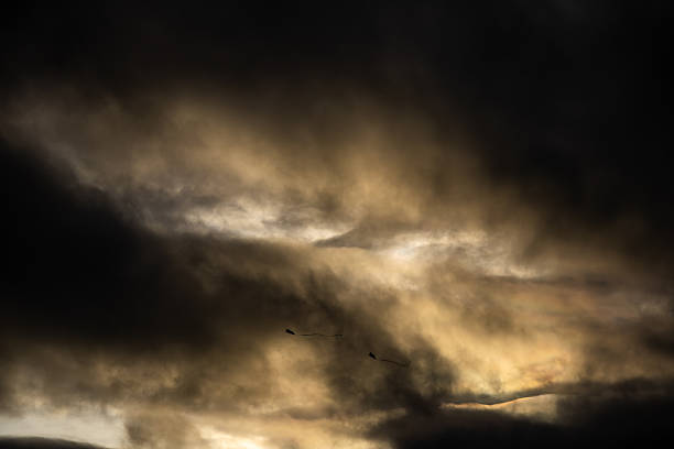 Pair of kites carried by strong winds beneath heavy cloud cover, creating a striking and minimal image that emphasises motion, tension, and the power of the sky