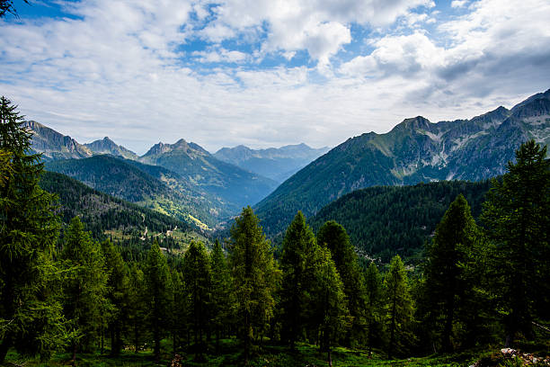 Lagorai mountain valley in Trentino, Italy, with dense green forests, steep slopes and distant alpine peaks under a bright sky.