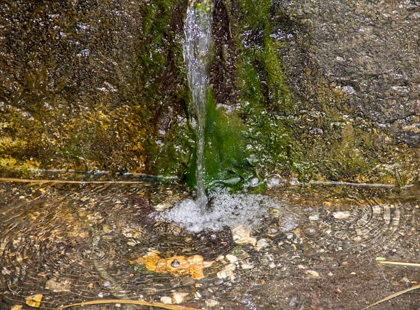 A close up view of moss on the rock under natural spring.