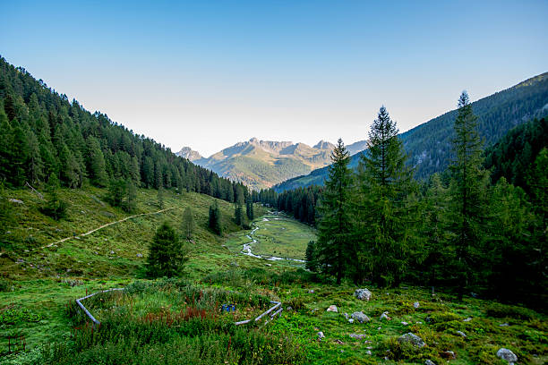 Wide alpine valley in the Lagorai mountains, Trentino, Italy, with a winding stream, dense forests and distant peaks in soft evening light.