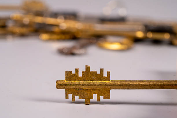 A collection of different keys is arranged on a surface. One key stands out in focus, showing its unique design. The other keys are slightly blurred, suggesting a dense grouping.