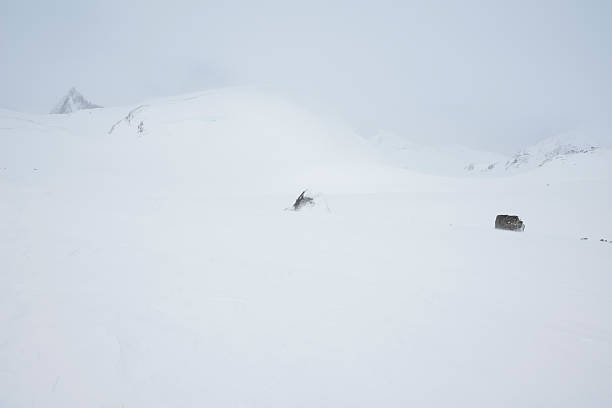 Jotunheimen (translates to “Home of the Giants\