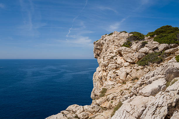 Sheer limestone cliffs rise above the deep blue Mediterranean Sea in Porto Conte, Sardinia. Sunlight highlights rugged rock textures and sparse green vegetation under a clear sky.